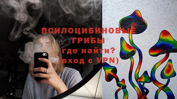 молекула духа Горно-Алтайск