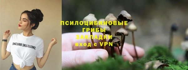 трава Гусиноозёрск
