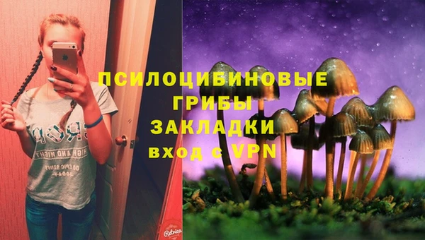 соль курить ск Гусь-Хрустальный