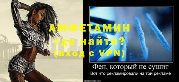 прущие грибы Горняк